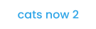 cats now 2